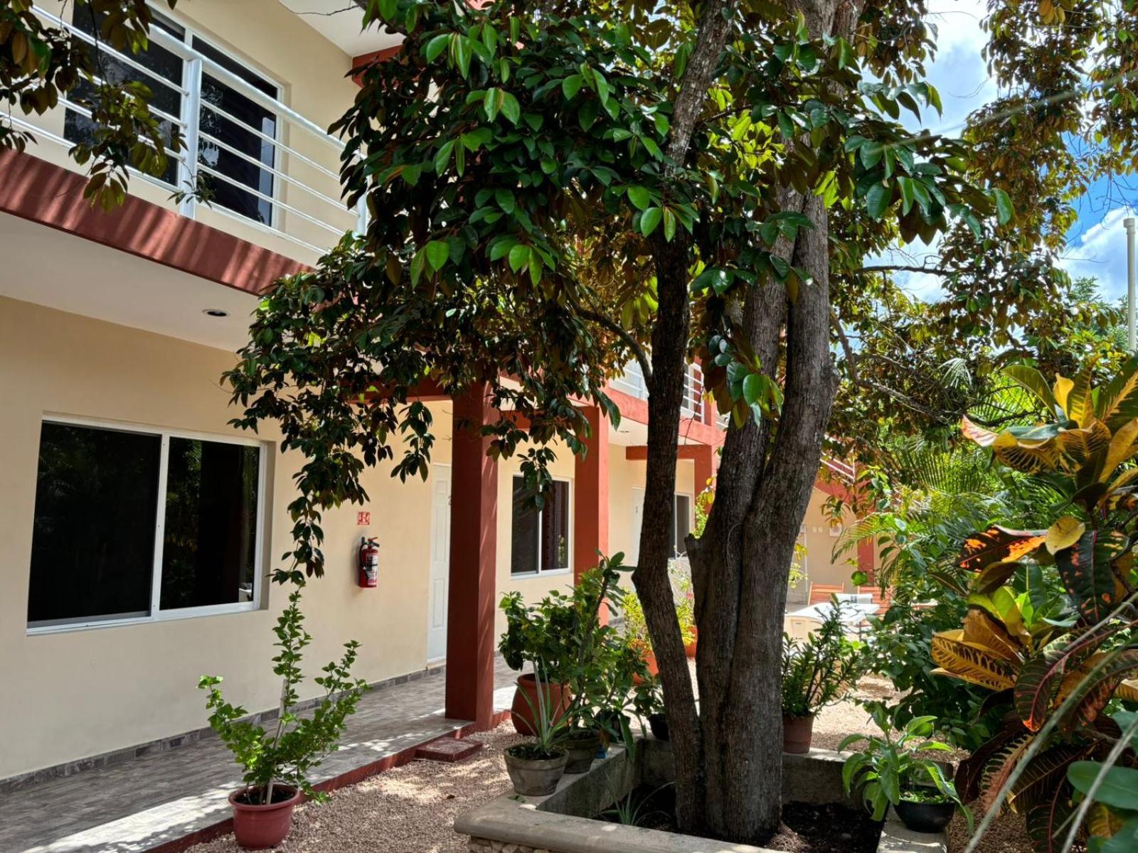 Casa Del Cenote Hotel Валядолид Екстериор снимка